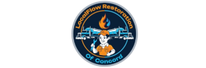 LocalFlow Restoration of Concord
